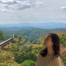 맨션애플트리 이미지