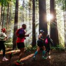 자연 그 자체가 러닝 코스···뉴질랜드에서 달려볼까 이미지