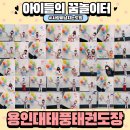 금오태풍태권도장 이미지