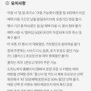 도미노피자안양 네이버블로그