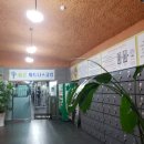 홀론테라피