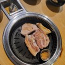 월촌도야지