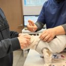 진영조은동물병원 이미지