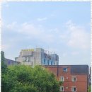 성실행정사사무소 이미지