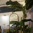 루프37.2도 이미지