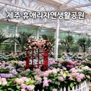 돼지야 놀자 | 서귀포 휴애리 수국축제, 5월 초 아이와 다녀온 내돈내산 후기