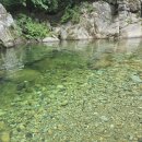 지리산나들이농원 | 지리산 계곡 펜션 함양 백무동계곡 물놀이 포인트 평상 옛고을펜션 후기