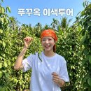 푸꾸옥 이색체험 단독투어 후추농장 쿠킹 로컬음식부터 바구니배까지 알찬 하루 후기