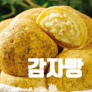 반도식품 | 전북 제과제빵 재료 반도식품 디저트 구황작물빵 입점 _ 감자빵 고구마빵 옥수수빵 통밤빵 겨울간식 최고!