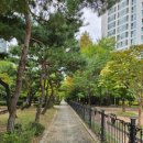 판교일등공인중개사사무소 이미지