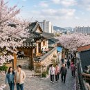 중원인터내셔널 | 2026 진해 군항제 숙소 추천 TOP 3: 벚꽃 명당 근처 가성비 호텔 완벽 분석
