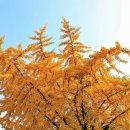 진주 청원리 이씨고가 이미지