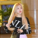 로제 이미지