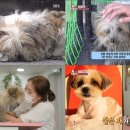 안방농장2 이미지