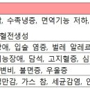 효소의 허와실 이미지