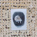 가족사랑 장례토탈서비스 이미지