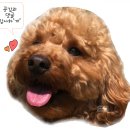 오제뉴어리