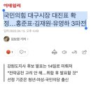 국민의힘 대구시장 대진표 확정…홍준표·김재원·유영하 3파전 이미지