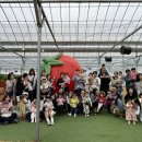 튼튼이농장 이미지