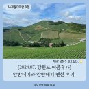하늘농장 | [강원도 휴가] 안반데기에서 여름휴가 (+안반데기 하늘농장 펜션 후기)