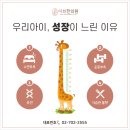 마포인삼