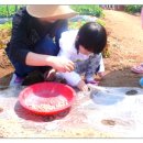 원빈농장 이미지