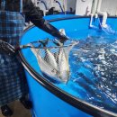 보라매동-12 이미지