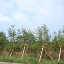 보리하우스 이미지