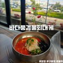 포항 구룡포 혼밥 맛집 친절했던 바다풍경물회대게 솔직후기