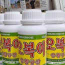오복상사