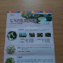 도옥전통한과 | 극한직업 도옥전통자갈한과 내돈내산 후기