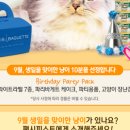 꼬맹이´S 네이버블로그