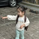제이미뇽