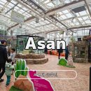 개미공원 근처 | 아산 아이와 가볼 만한 곳 아산생태공원 호롱빛공원 생태곤충원