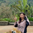 Bee HOTEL | 대만 화련 여행 숙소 타이루거 협곡 실크스 플레이스 타로코 Silks Place Taroko