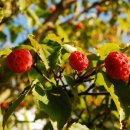 제주종합경기장 한라체육관 이미지