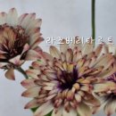 고려농원 이미지