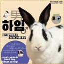 광주TNR동물병원(송정) 이미지