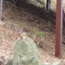 다람쥐민박 이미지