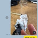 하연이네 | 쓸말이 없..그냥 사진 정리하기