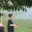 향어대장 - 창원시 의창구 의창대로139번길 18 | 향어대장