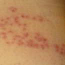 문내과의원 이미지