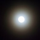 달무리 - 송파구 백제고분로40길 35-18 | 달무리