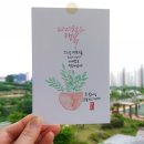공간글꽃