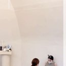 오데트 이미지