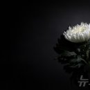 태평양건축사 이미지