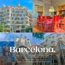 까사하나 | 바르셀로나 까사바트요 vs 까사밀라 내부입장권 비교 예약 팁 후기