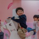 고고펜션 이미지