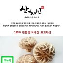 치성농장 네이버블로그