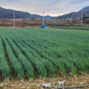 곡성농협하나로마트 이미지